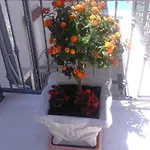 14 Apartamento