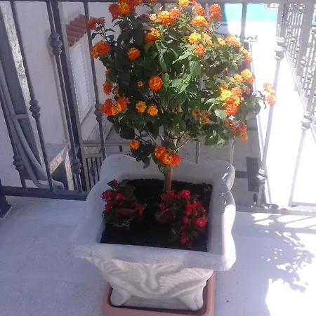 14 Апартаменты