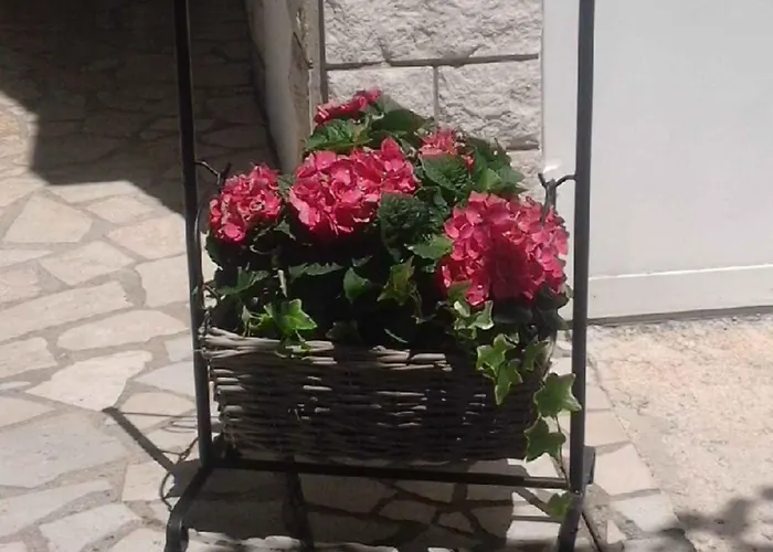 Apartament 14